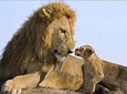 2 Days Safari – Tarangire NP, Ngorongoro Crater