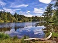  4 hour Private Lake District tour (Tour A)