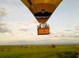 3 Days Murchison Falls Wildlife Safari