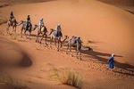 2-Days Zagora Tour from Marrakech Including the Atlas Mountains and Camel Trek