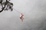 Monteverde Day Tour: Hanging Bridges + Extreme Zipline
