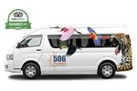 Private One-Way Transfer: Liberia Airport to Westin Conchal