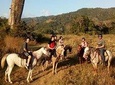 Jaco Beach Costa Rica Horseback Riding