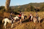 Jaco Beach Costa Rica Horseback Riding