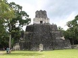 Tikal VIP Private Day Tour from Flores all-Inclusive