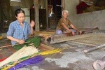 Tra Nhieu Eco Village Experiences- Bicycle Tour
