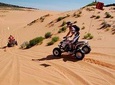 Morning Desert Safari with Dune Bashing, Quad Bike and Sand Boarding