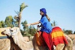 Sunset Camel Ride Tour With Barebecue