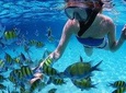 Snorkeling & Dolphin Sightseeing Sail on the Privateer Catamaran