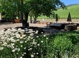 8-Hour Custom Private Napa and Sonoma Wine Tour