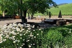 8-Hour Custom Private Napa and Sonoma Wine Tour