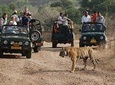 5 Days Golden Triangle Tour with Ranthambore Tiger Safari