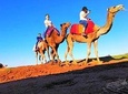 Day Trip: Waterfalls & Desert Agafay & Atlas Mountains & Camel ride
