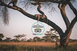 Adventure in the Rift-valley