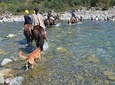Horse Riding with salmons and red deers