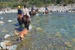 Horse Riding with salmons and red deers