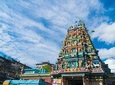 Indian/Hindu Cultural Immersion Tour