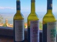 Private Organic Wine Tasting Tour at Okro's Winery and Visit to Sighnaghi 