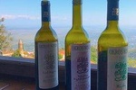 Private Organic Wine Tasting Tour at Okro's Winery and Visit to Sighnaghi 