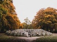 Glen Affric, Culloden & Clava Cairns Small-Group Tour from Inverness
