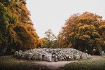 Glen Affric, Culloden & Clava Cairns Small-Group Tour from Inverness