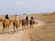 MARRAKESH DAY TRIP FROM CASABLANCA WITH CAMEL RIDE AND LUNCH AT AGAFAY DESERT