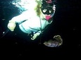 Night Snorkeling - Observation of octopus and other species
