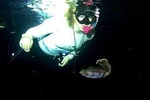 Night Snorkeling - Observation of octopus and other species
