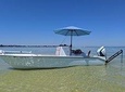 4 hour Fishing Charter with a Tampa Native