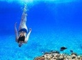 Snorkling in Gozo 