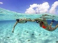 Cozumel Snorkel Two Reefs & Playa Mia 