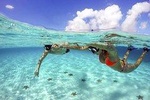 Cozumel Snorkel Two Reefs & Playa Mia 