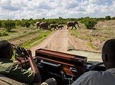 3 Days Ruaha National Park