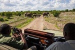 3 Days Ruaha National Park