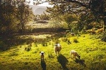Windermere, Lancaster & the Lake District Small-Group Day Tour from Manchester