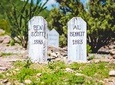 Private Tombstone Arizona and San Xavier Mission Day Trip