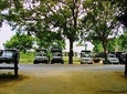 Udawalawa Safari jeep Booking 