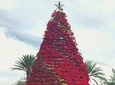 Magic Christmas Tour in Queretaro