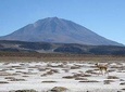 Salar de Uyuni with Lodging - 2 full days - With Minor Lagoons