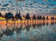 Daily walks at sunset with "barbecue - couscous" dinner