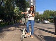 BE The Taco Master - Bike Tour