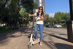 BE The Taco Master - Bike Tour