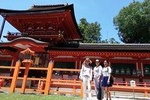 Nara Half Day Trip Walking Tour