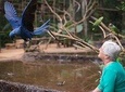 Itaipu Dam & Bird Park & Iguassu Falls Brazilian Side From Puerto Iguazu Hotels