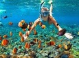 Mactan Cebu Island Hopping with Lunch - Gilutungan, Caohagan, San Vicente