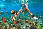Mactan Cebu Island Hopping with Lunch - Gilutungan, Caohagan, San Vicente