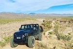 Sonoran Desert Jeep Tour at Sunset