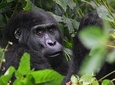 Seven Days One Wonderful Week Safari In Uganda