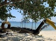 Phuket Half Day Coral Island Trip With Lunch By Speed Boat