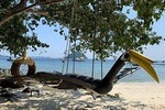 Phuket Half Day Coral Island Trip With Lunch By Speed Boat